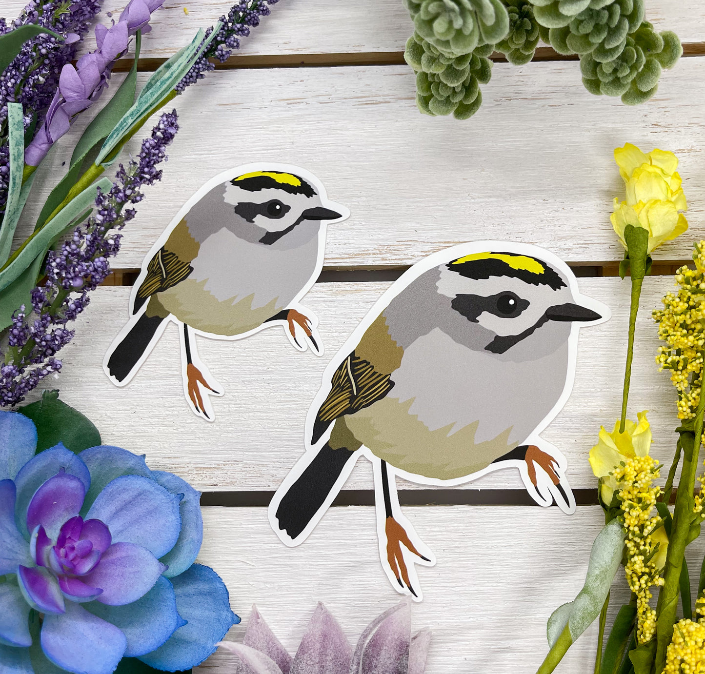 Golden Crowned Kinglet Sticker