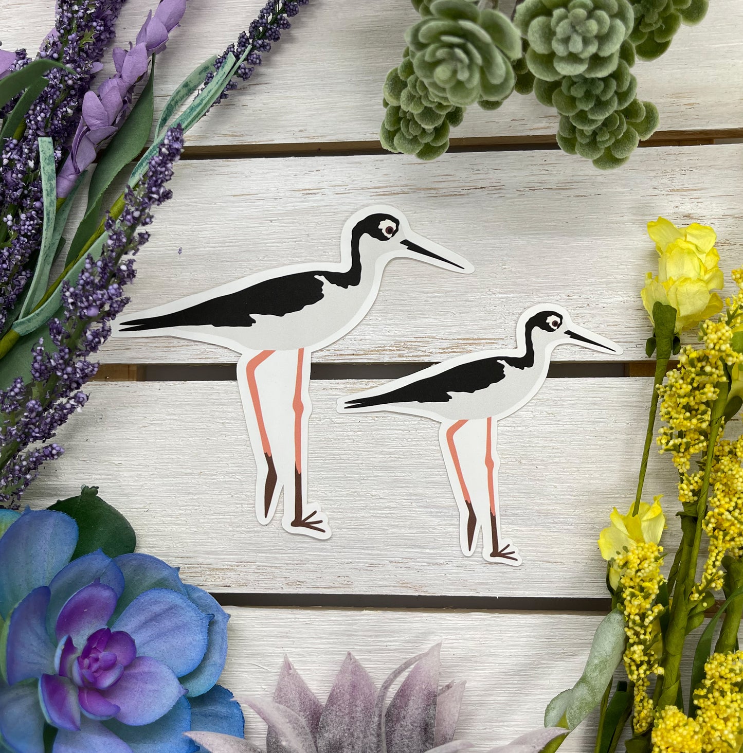 Black Necked Stilt Sticker