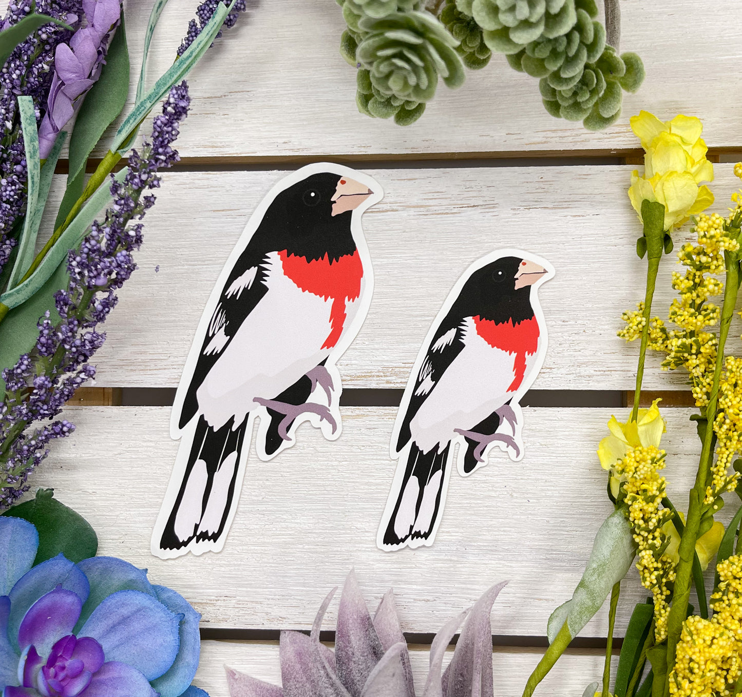 Rose Breasted Grosbeak Sticker