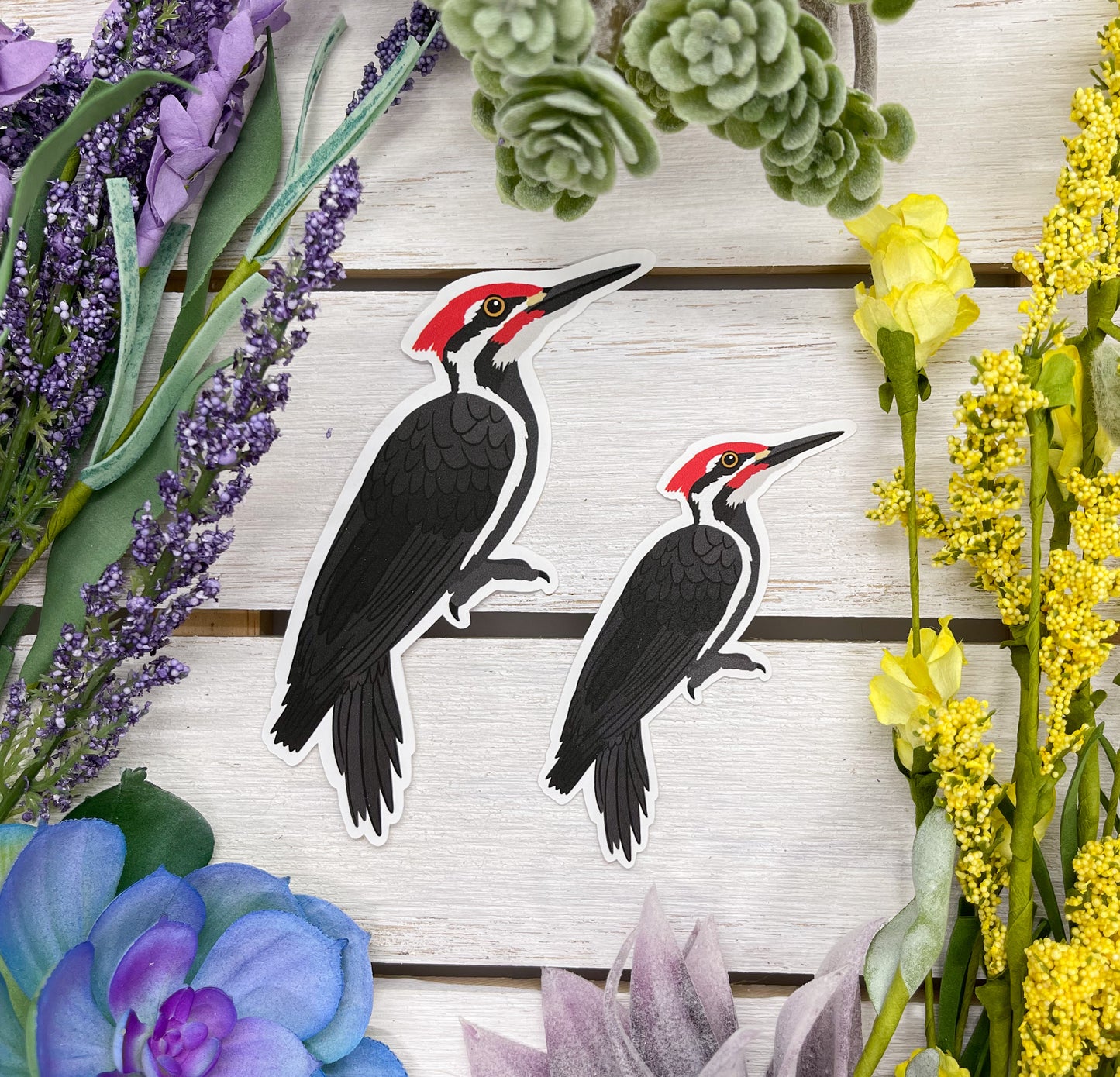 Pileated Woodpecker Sticker