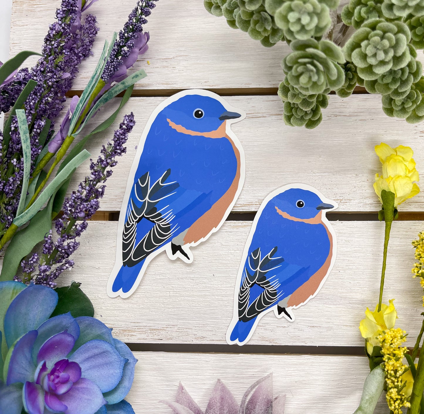 Eastern Bluebird Sticker