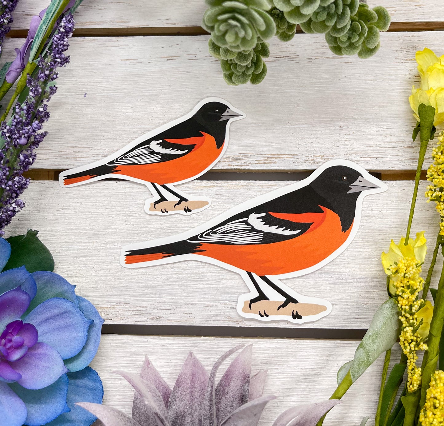 Baltimore Oriole Sticker