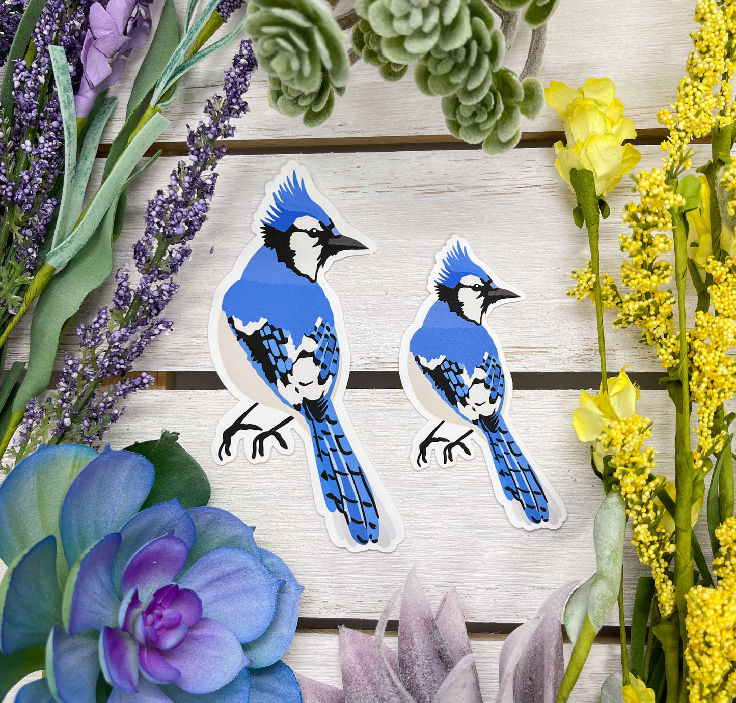 Blue Jay Sticker