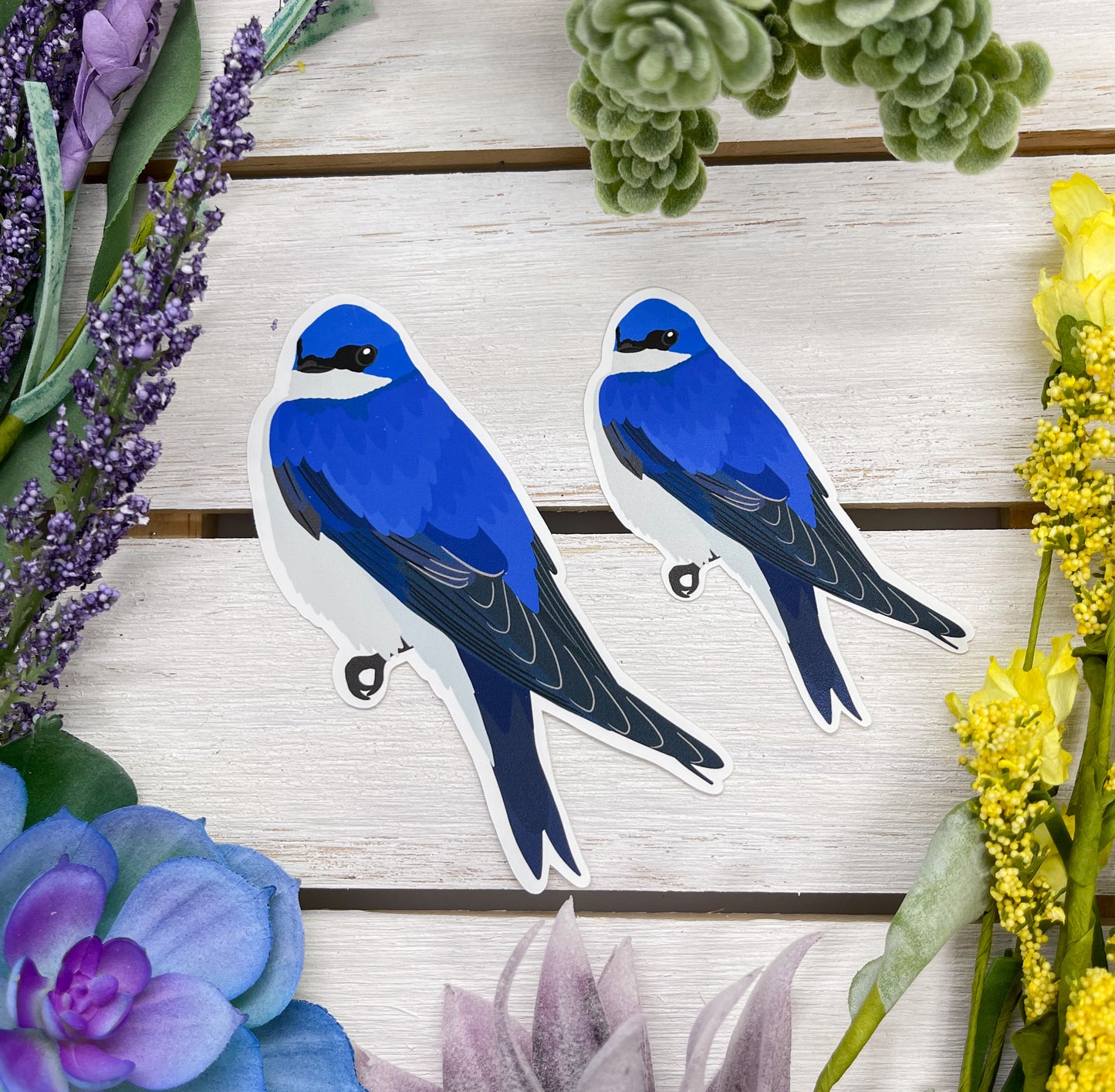 Tree Swallow Sticker