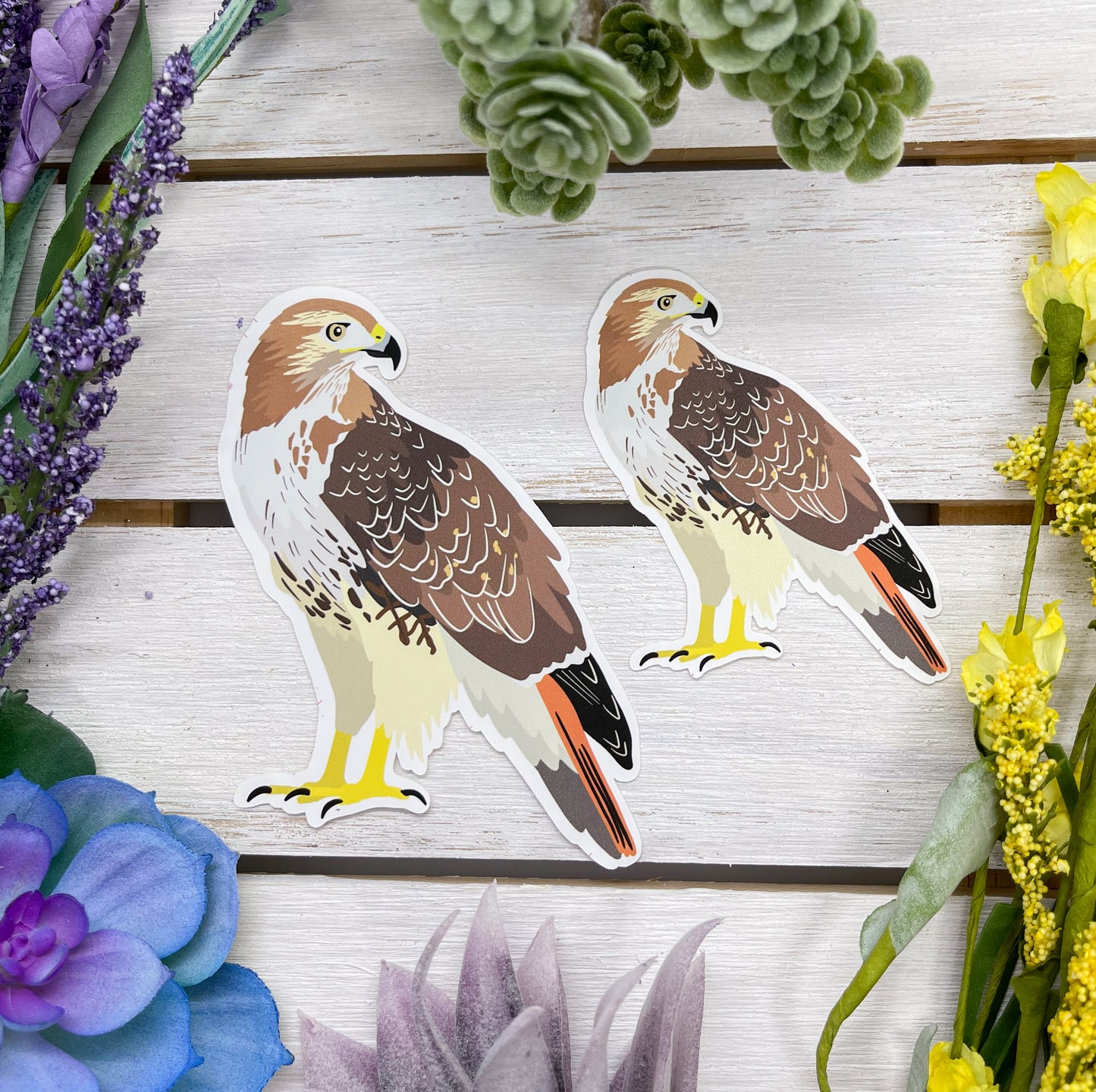 Red Tailed Hawk Sticker