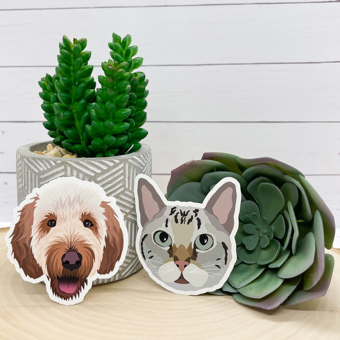 Custom Pet Sticker